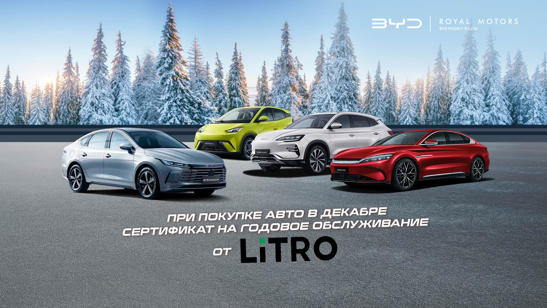 Дорожная карта от Litro