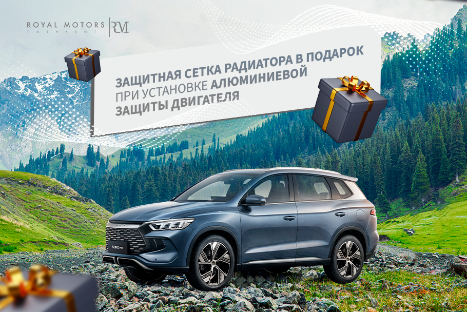 Защитная сетка в подарок при установке защиты картера!