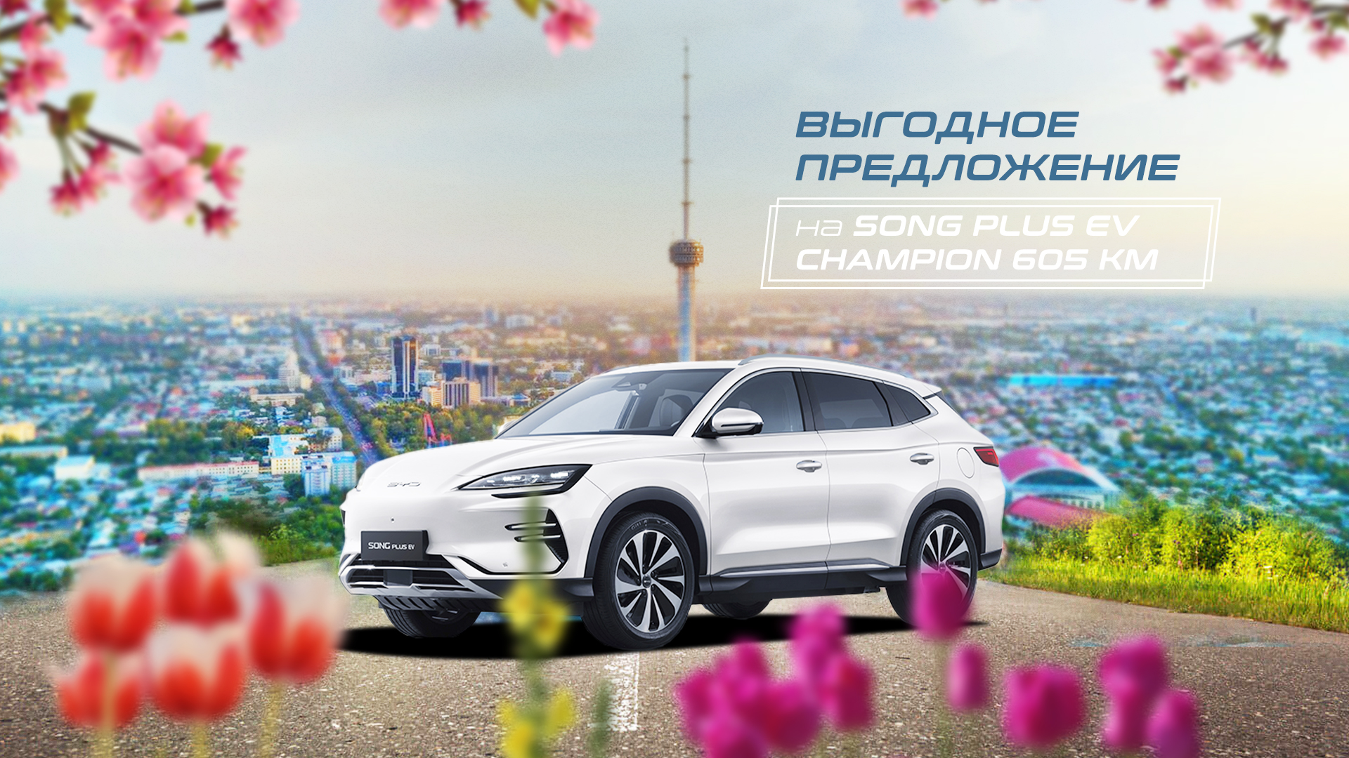 Идеальный момент для покупки Song Plus Champion EV — воспользуйтесь уникальной выгодой!