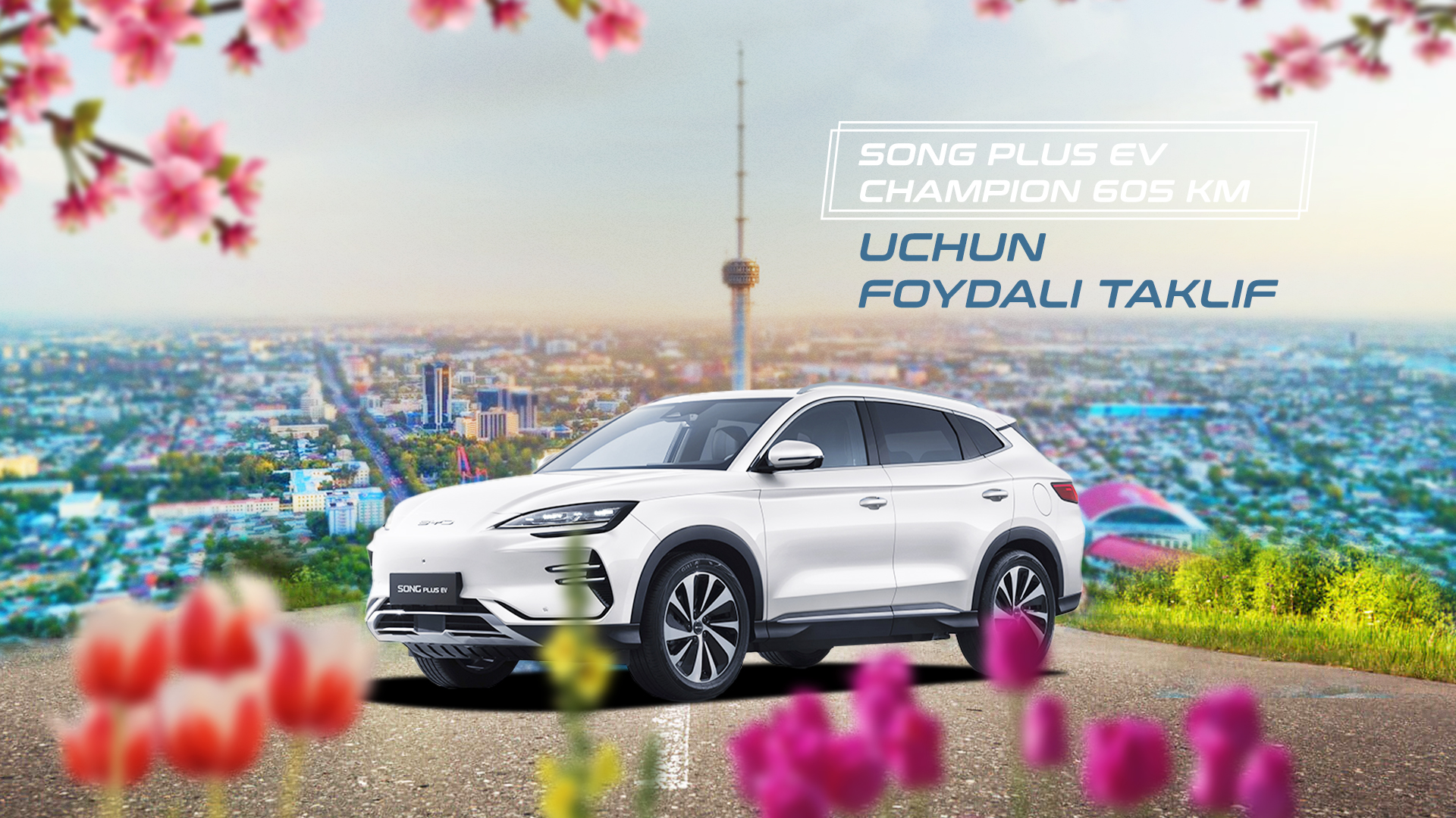 Song Plus Champion EV sotib olish uchun eng qulay payt - ajoyib imkoniyatdan foydalaning!