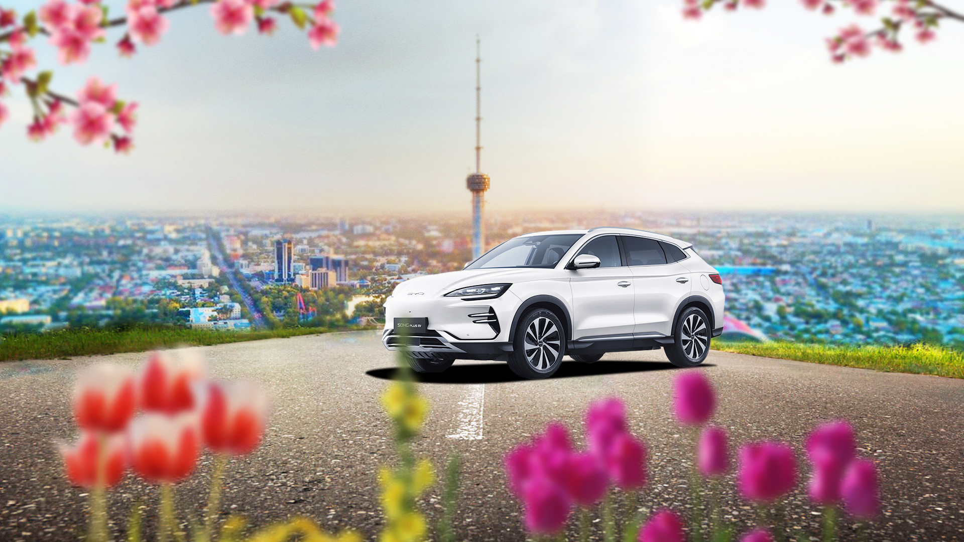 Идеальный момент для покупки Song Plus Champion EV